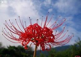 洗手奉职成语接龙游戏