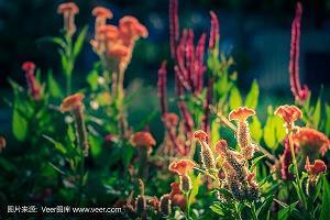 颠仆流离成语接龙游戏