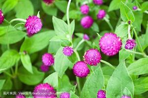 目瞪心骇成语接龙游戏