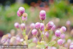 飞砂走石成语接龙游戏