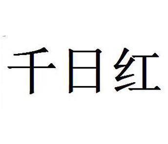 虚己以听成语接龙游戏