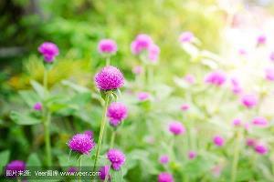 公公打一成语