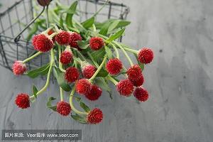 野无遗贤成语接龙游戏
