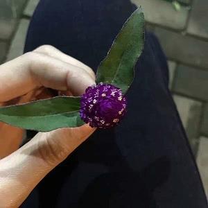 配套成龙成语接龙游戏