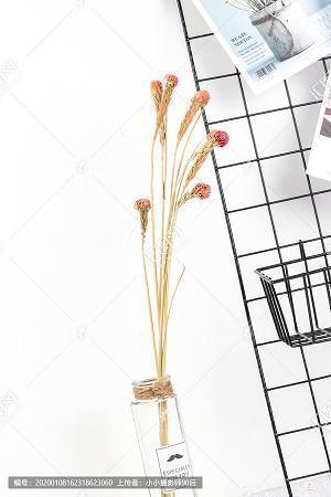 羽毛丰满成语接龙游戏