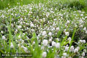 矢力同心成语接龙游戏