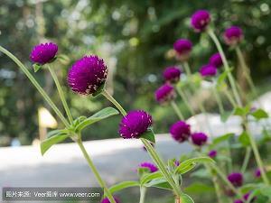 蛇螫断腕成语接龙游戏