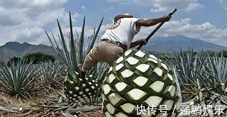 人世沧桑成语接龙游戏
