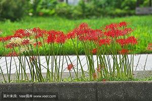 人间仙境