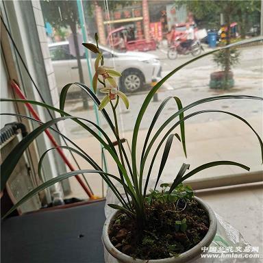 黄钟长弃成语接龙游戏