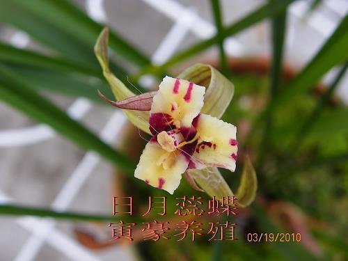 箪瓢屡罄成语接龙游戏