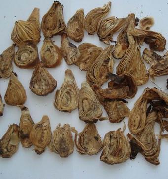 争强好胜成语接龙游戏