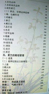 言听谋决成语接龙游戏
