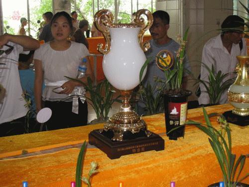 诚意正心成语接龙游戏