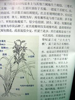 窕打一成语
