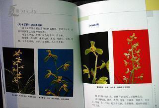 贪赃枉法成语接龙游戏
