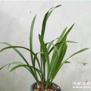 辟踊哭泣成语接龙游戏