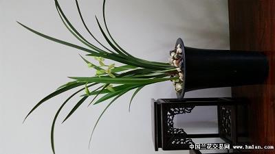 室内卫生打一成语