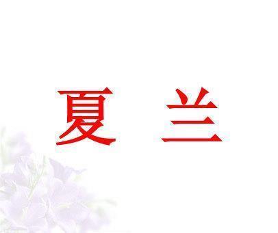 造恶不悛成语接龙游戏