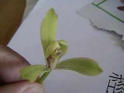 紧打慢敲成语接龙游戏