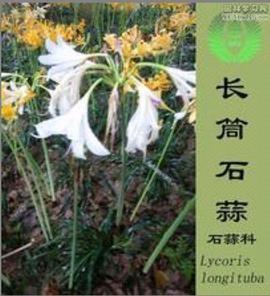 发人深思成语接龙游戏