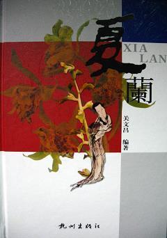 蜜里调油成语接龙游戏