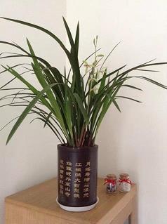 还年驻色成语接龙游戏