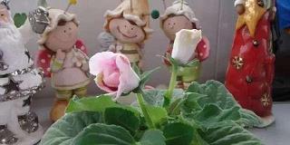 自甘暴弃成语接龙游戏