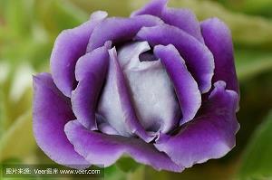 逆行倒施成语接龙游戏