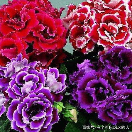 魂飞胆裂成语接龙游戏