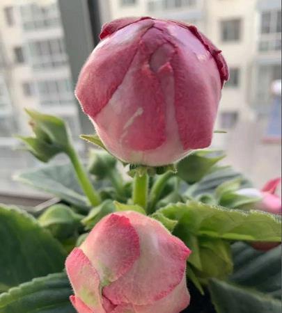 荒诞无稽成语接龙游戏