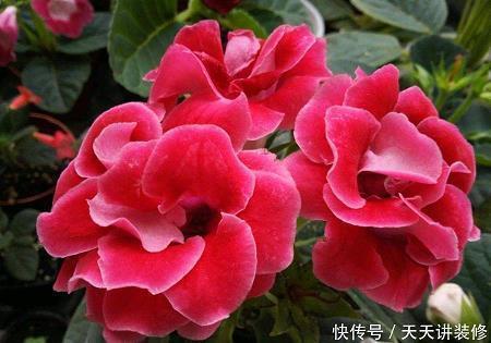 隔窗有耳成语接龙游戏
