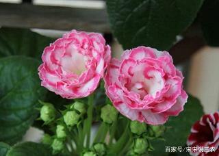 饮鸩解渴成语接龙游戏