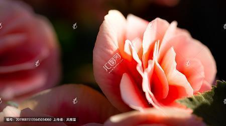 钗荆裙布成语接龙游戏