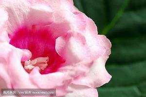 逸辈殊伦成语接龙游戏