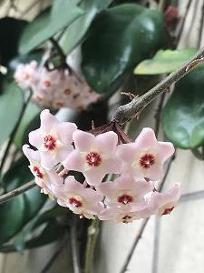 迁延时日成语接龙游戏