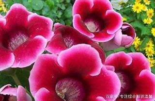 赫赫之名成语接龙游戏