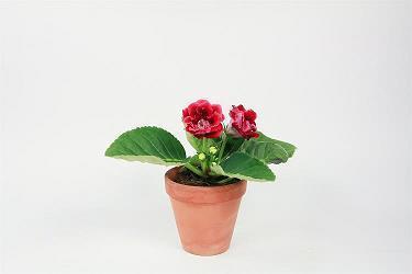 鲁鱼亥豕成语接龙游戏
