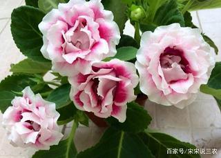 追悔莫及成语接龙游戏
