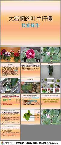 观望不前成语接龙游戏