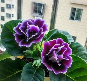 电影《手机》打一成语