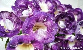 闻风而动成语接龙游戏