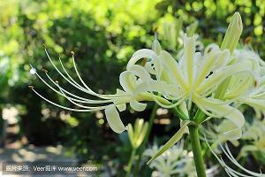 载歌且舞成语接龙游戏