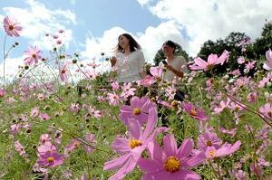 送眼流眉成语接龙游戏