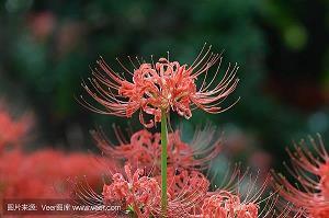 画蛇添足打一成语