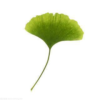 贞节牌坊成语接龙游戏