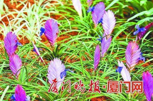 蹑手蹑足成语接龙游戏