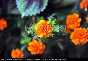 送货上门成语接龙游戏
