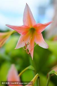 沅茝醴兰成语接龙游戏