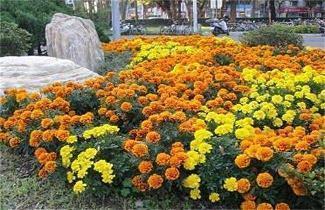 道远知骥成语接龙游戏